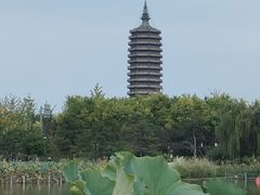 -西海子公园