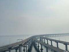 -星海湾跨海大桥