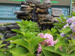 -北京市东郊殡仪馆