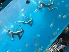 -瑞德姆美人鱼海底演艺主题餐厅(亚龙湾店)