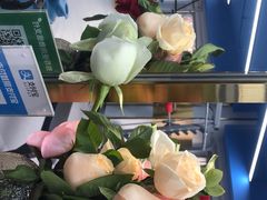 -N1 健身·普拉提·综合馆(嘉美中心店)