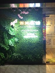 -西施无菌半永久纹绣眉眼影唇轻增发纹发际线
