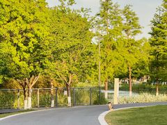 -昆山城市生态森林公园