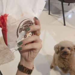 纯色-Hands Nail专业美甲美睫