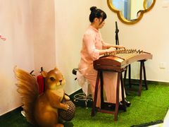 弹古筝-万重锦·人文川菜馆(骡马市店)