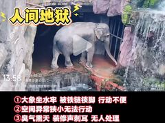-长鹿旅游休博园