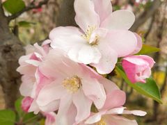 -郑州中国绿化博览园