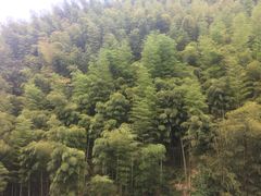 -藏龙百瀑漂流