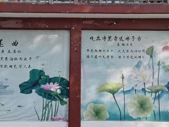 -莲湖公园