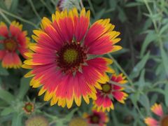 -安德鲁户外烧烤帐篷营地(马泉营店)