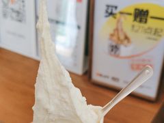 -野人先生Gelato(上海长宁龙之梦店)