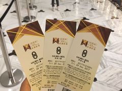 -影汇之星8字形摩天轮