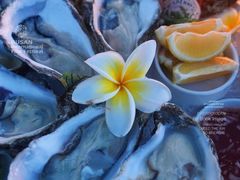 -宴悦海鲜餐厅Driftwood·游水海鲜·牛排(亚龙湾瑞吉店)