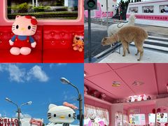 -Blue Concept Cafe&Farm·關於藍