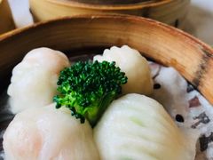 屋顶虾饺皇-屋顶花园餐厅(步行街老地王大厦店)