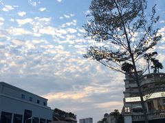 -泰谷酒店·太古码头闽菜自助餐厅