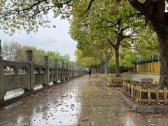 -西园戒幢律寺