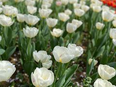 -苏州上方山国家森林公园