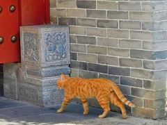 -万寿八仙宫