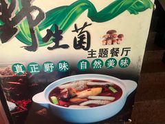 -菌之家·专业纯野生菌火锅·特色炒菌
