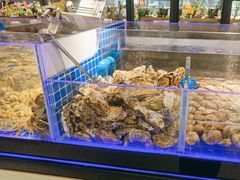 -锅儿欢海鲜火锅烤肉自助餐(东港凯虹店)