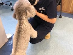 -萌兽医馆·犬猫专科·眼科中心·宠物医院(朝阳门分院)