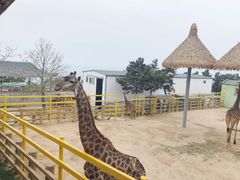 -西霞口神雕山野生动物世界