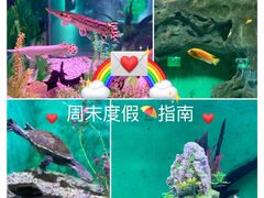 -常州海昌海洋探索馆