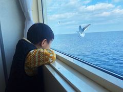-网走流冰观光破冰船极光号
