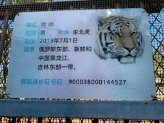 -昆明动物园