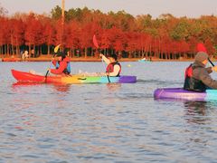 -上海海湾国家森林公园