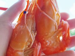 -蟹天蟹地农家菜·阳澄湖大闸蟹(浅水湾店)
