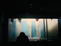 -国文影城(上海闸北店)