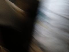 -黄山阿拉酒店(黄山风景区换乘中心店)