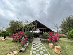 -芒洲湿地公园