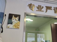 -守诺宠物医院·眼科· 特色牙科·异宠专科(虹口店)