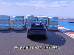 -建华生态湿地百荷园