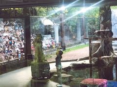 -清迈夜间动物园