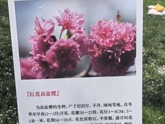 -堤角公园