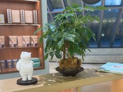 -长风拨筋养身(金虹桥店)