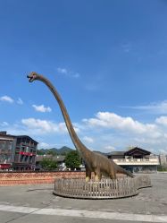 -恐龙探索乐园(磁器口店)