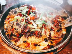 -老板恋上鱼(恒隆广场店)