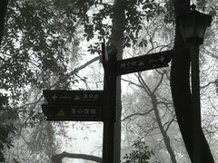 -缙云山景区