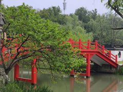 -扬州大运河文化旅游度假区·盆景园