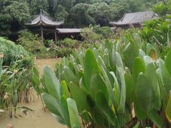 -钱王祠