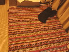 -金色莲花泰式按摩SPA(石牌店)
