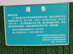-莲花池公园