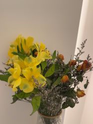 -苑苑vbeauty科技美容SPA