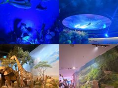 -陕西自然博物馆