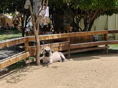 -HERRE·FARM 赫尔露营农场·团建聚会包场